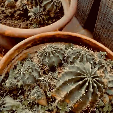 140m2 Floorcentral Loft 24hr Self Check-in Apartament